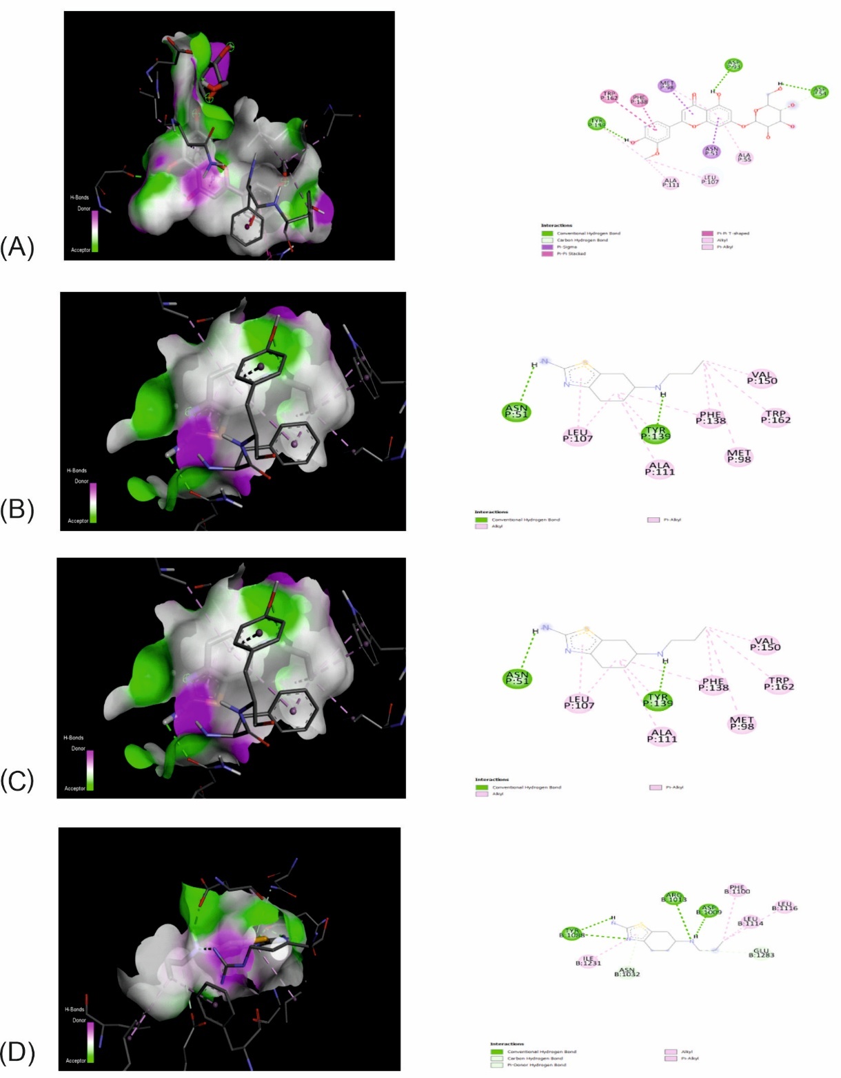 (A) Interactions of Chryseriol-7-O-β-D-glucopyranoside with the target 3NMR, (B) 3D and 2D Interactions of Pramipexole with the target 3NMR, (C) Interactions of Stigmasterol with the target 5JLV, (D) 3D and 2D Interactions of Pramipexole with the target 5JLV.