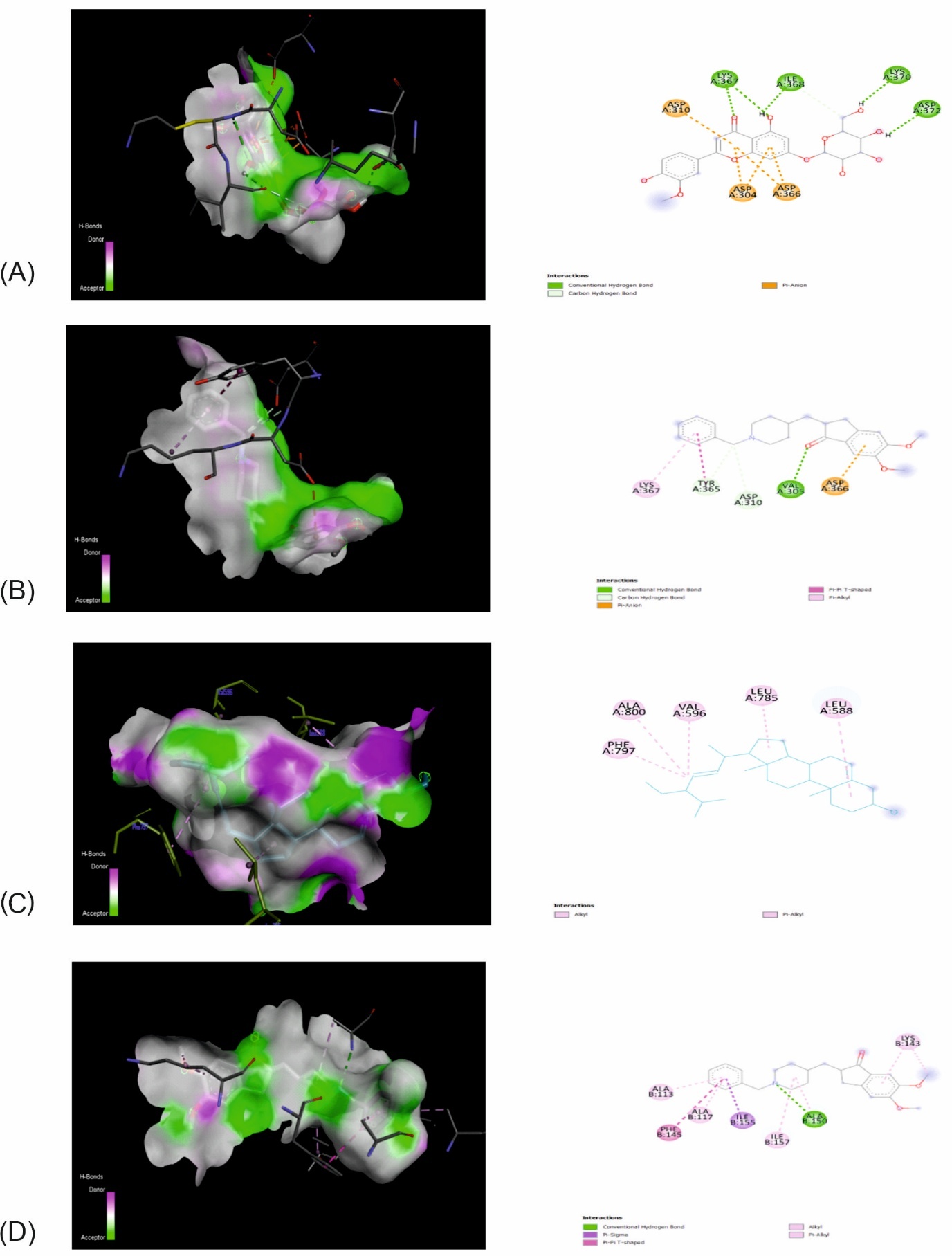 (A) Interactions of Chryseriol-7-O-beta-D-glucopyranoside with 4V11, (B) 3D and 2D Interactions of Donepezil with the target 4V11, (C) 3D and 2D Interactions of Stigmasterol with 2I0Y, (D) 3D and 2D Interactions of Donepezil with the target 2I0Y.