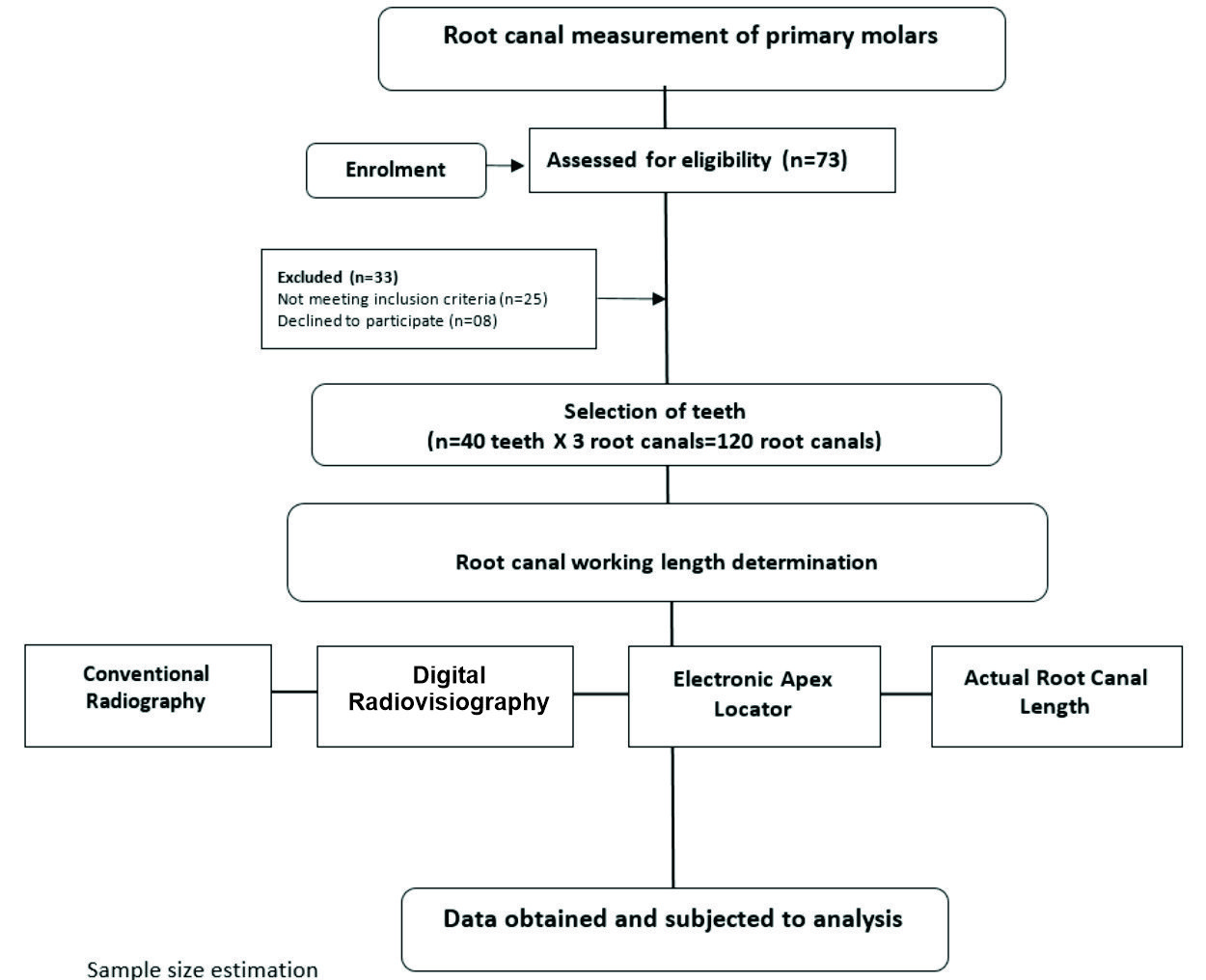 Consort flow chart followed during clinical trial.