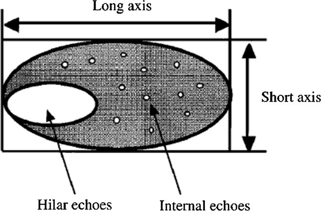 Schematic diagram showing long and short axis of a lymph node.